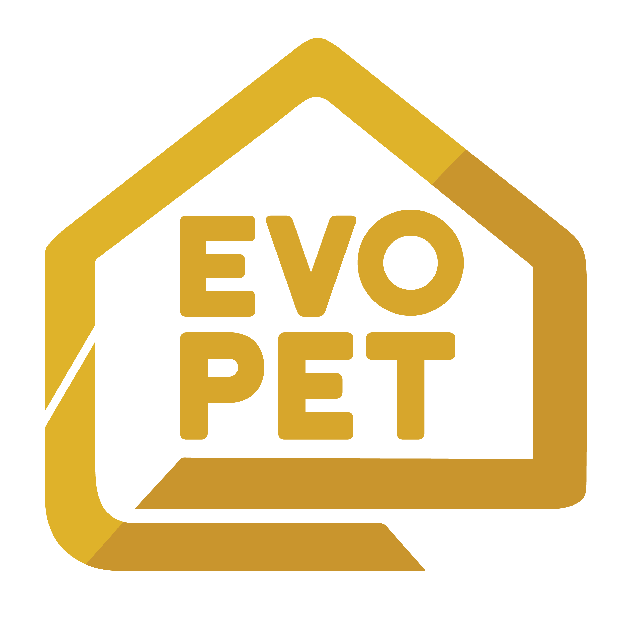 EVO Group Logo